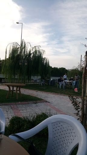 Fotoğraf 9
