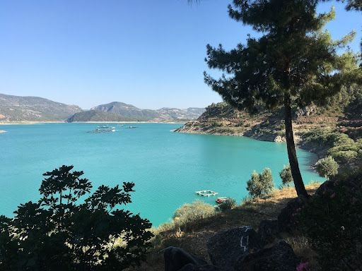 Fotoğraf 28