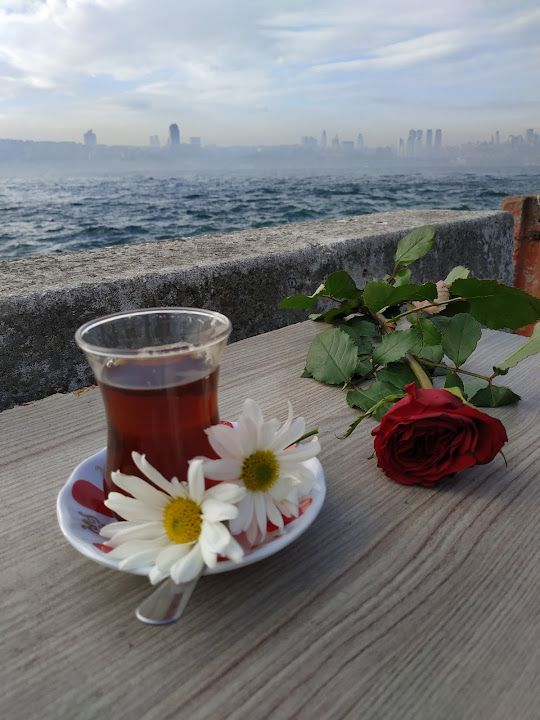 Fotoğraf 44
