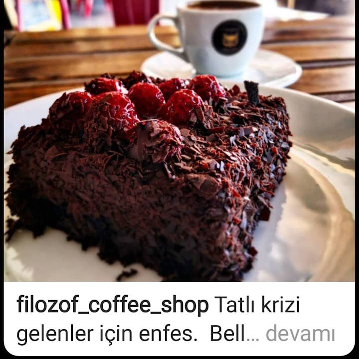 Fotoğraf 16