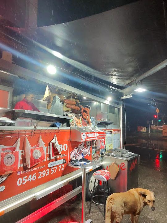 Fotoğraf 24