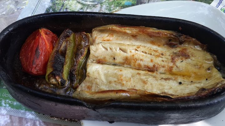 Fotoğraf 47