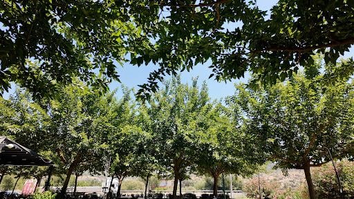 Fotoğraf 20