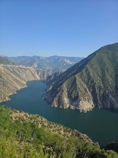 Fotoğraf 59