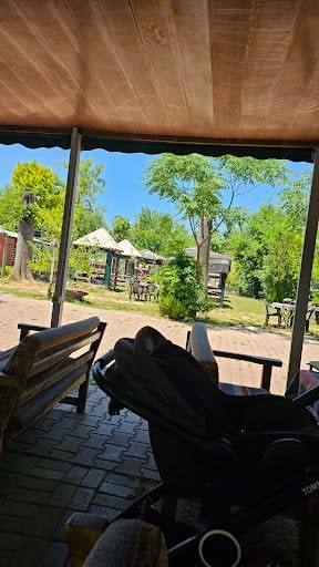 Fotoğraf 38