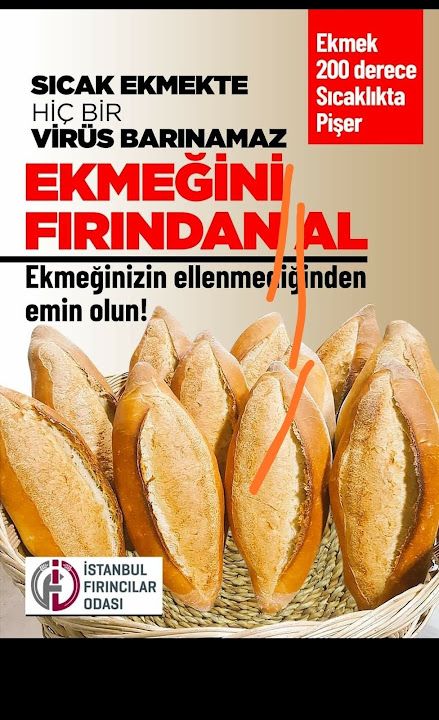 Fotoğraf 15