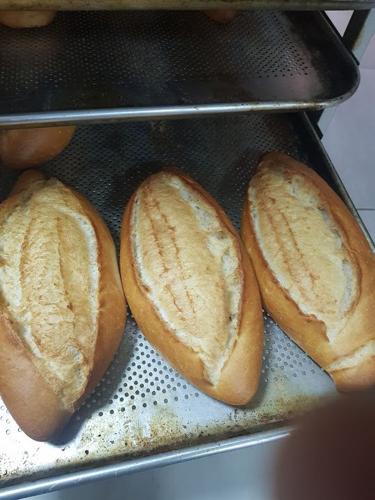 Fotoğraf 19