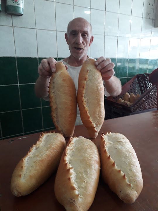 Fotoğraf 11