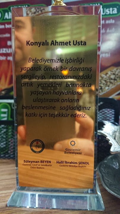 Fotoğraf 15
