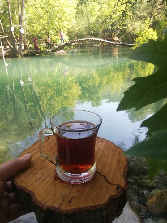 Fotoğraf 33