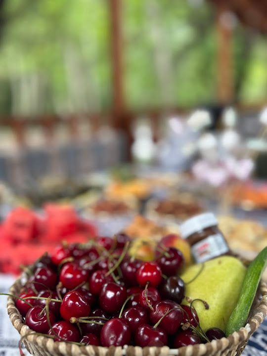 Fotoğraf 42