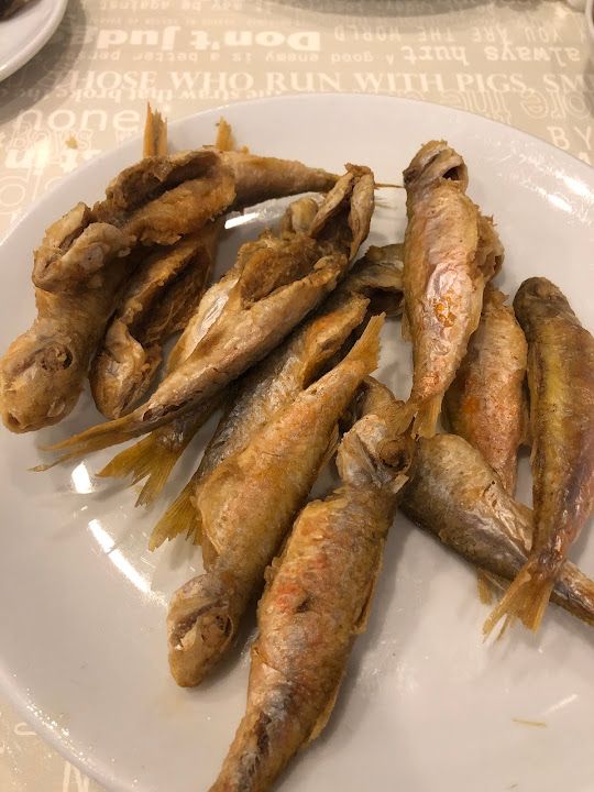 Fotoğraf 15