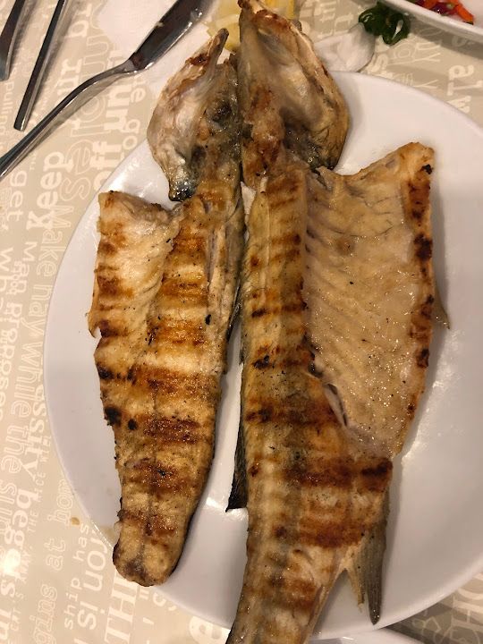 Fotoğraf 17