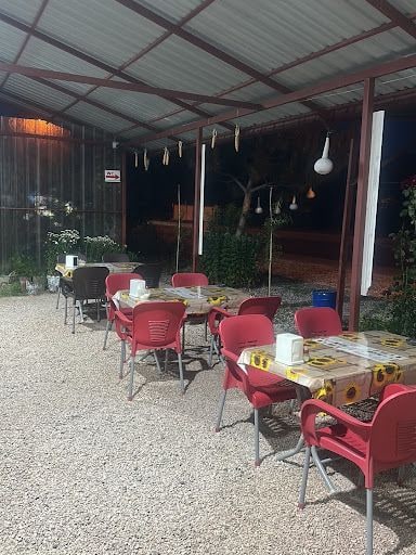 Fotoğraf 11
