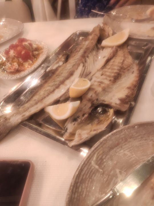 Fotoğraf 30