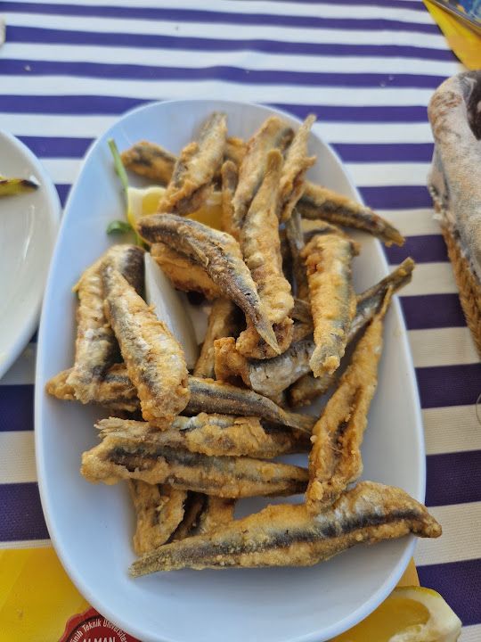Fotoğraf 42
