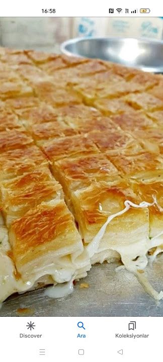 Fotoğraf 15