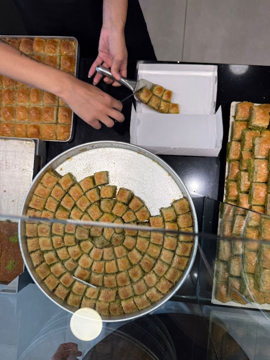 Fotoğraf 13
