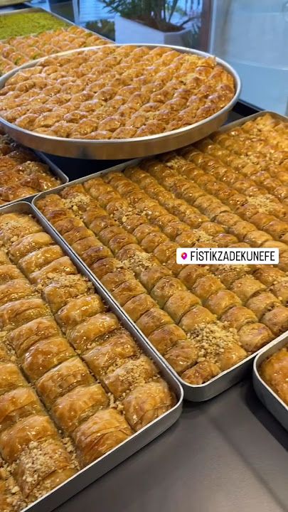 Fotoğraf 16