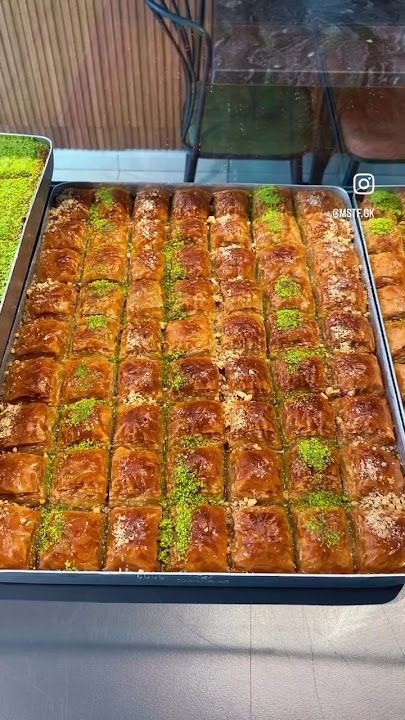 Fotoğraf 13