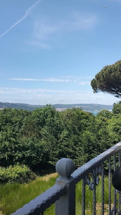 Fotoğraf 35
