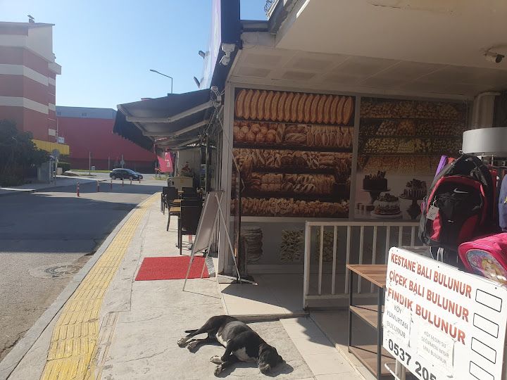 Yorum fotoğrafı 2