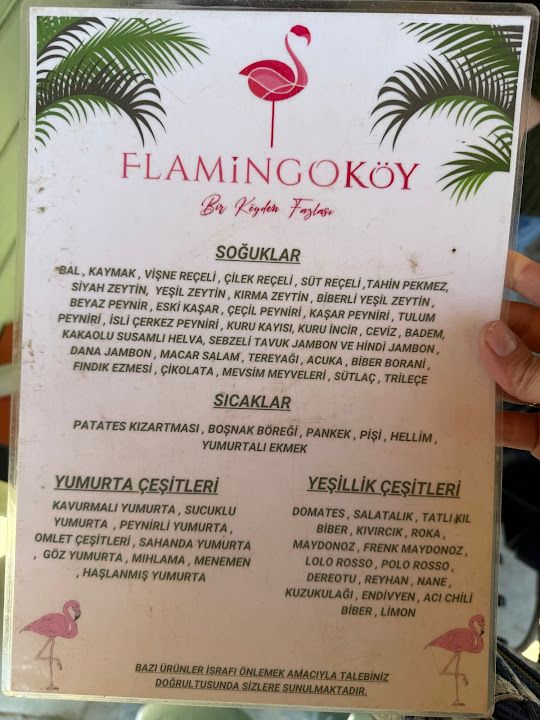 Fotoğraf 34