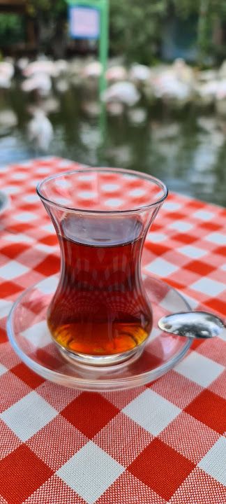 Fotoğraf 31