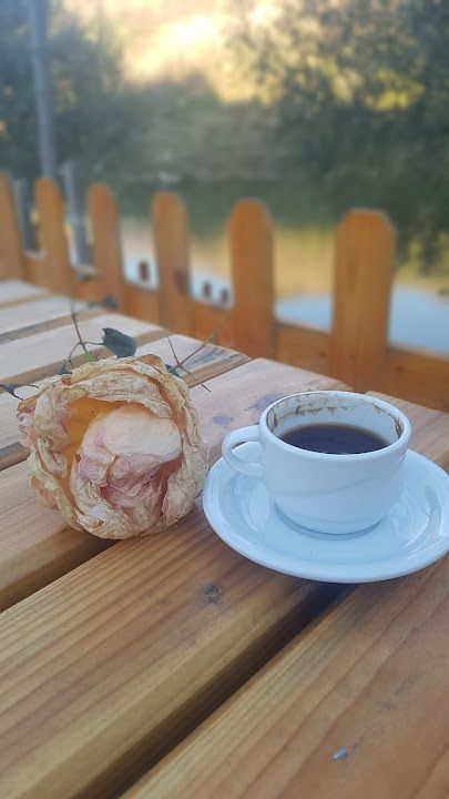 Fotoğraf 41