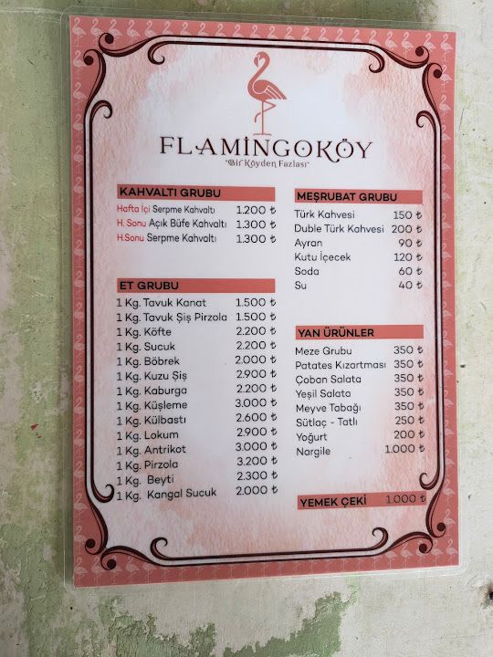 Fotoğraf 35