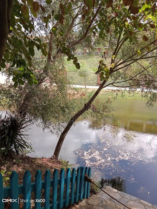 Fotoğraf 63