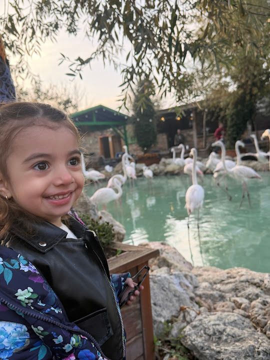 Yorum fotoğrafı 4