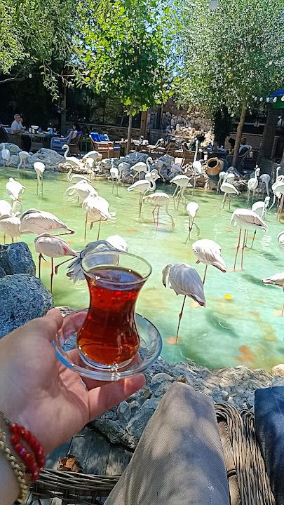 Fotoğraf 68