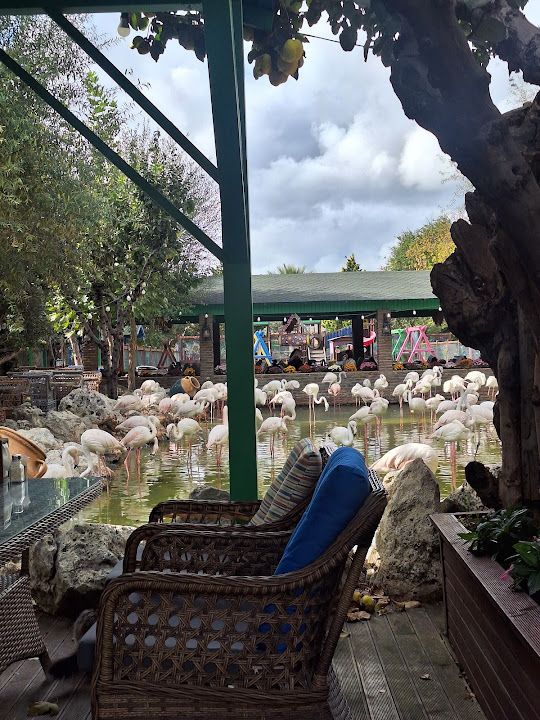 Fotoğraf 12