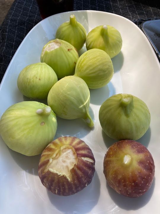 Fotoğraf 12