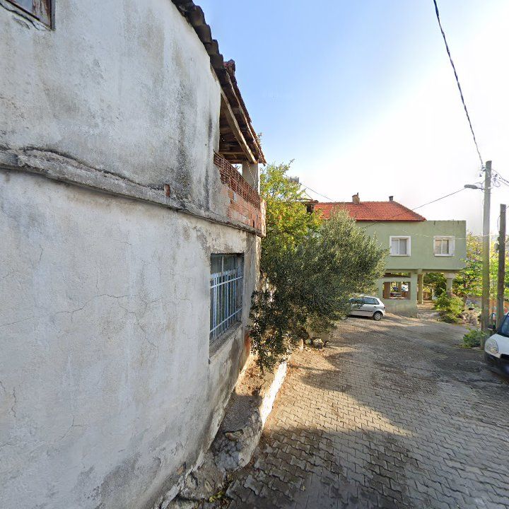 Fotoğraf 9