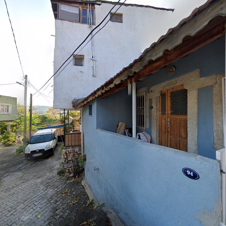 Fotoğraf 10