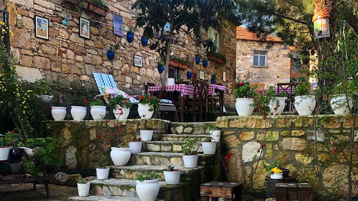 Ağaçlı ev
