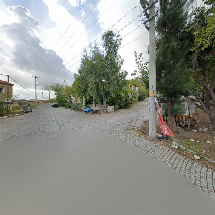 Fotoğraf 11