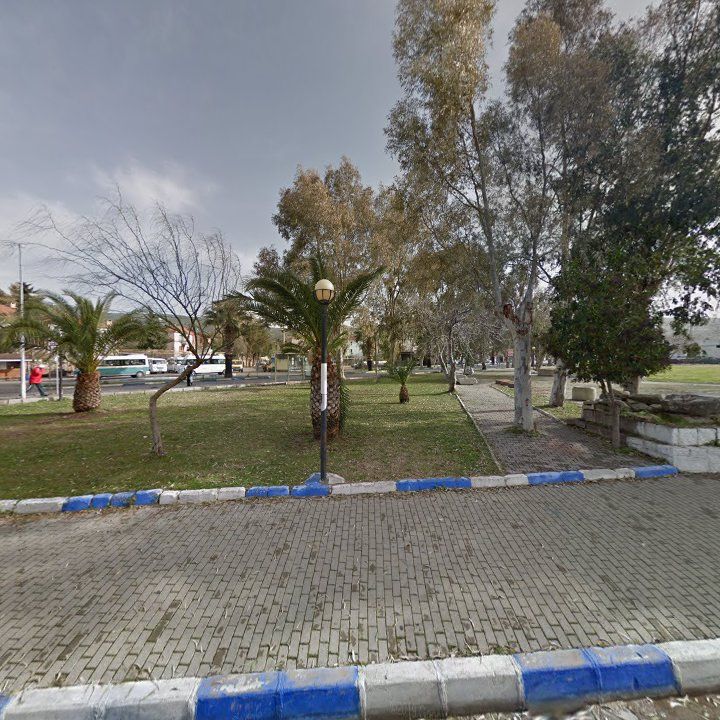 Fotoğraf 5