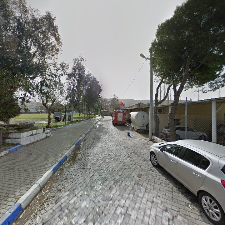 Fotoğraf 6