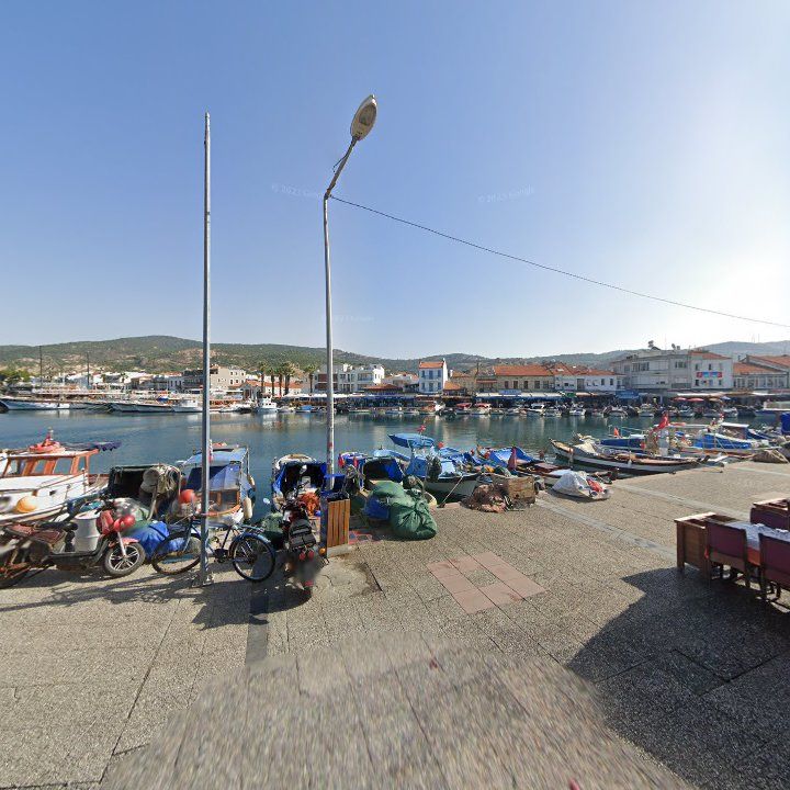 Fotoğraf 10