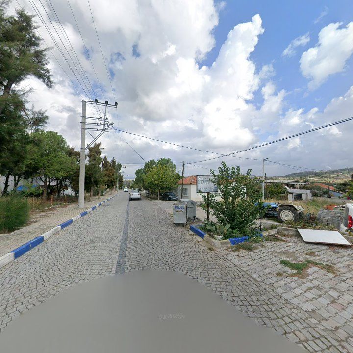 Fotoğraf 10