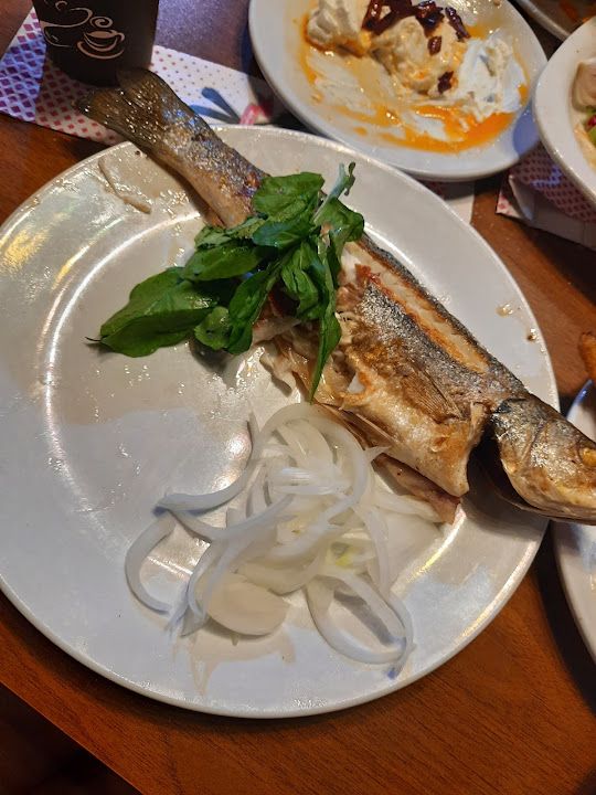 Fotoğraf 53