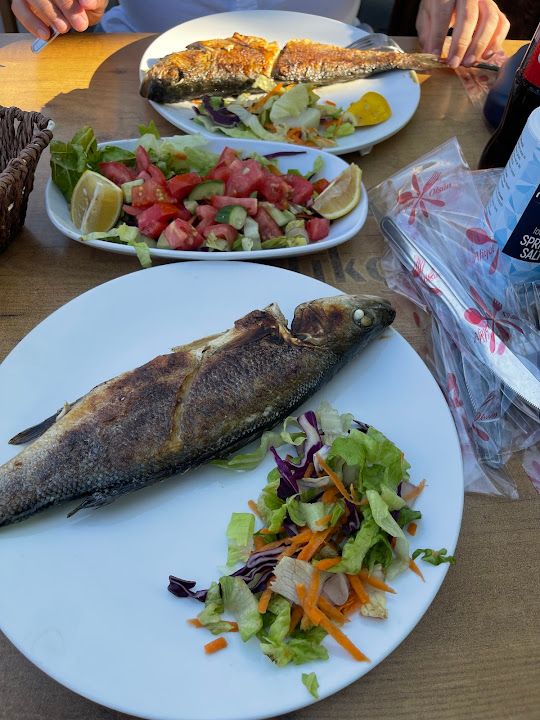 Fotoğraf 36