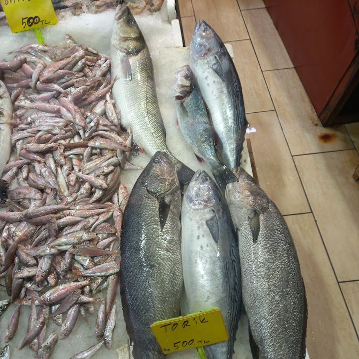 Yorum fotoğrafı 3