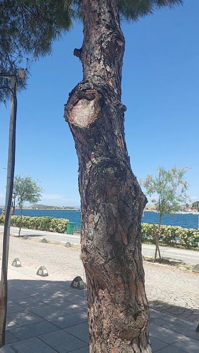 Fotoğraf 28