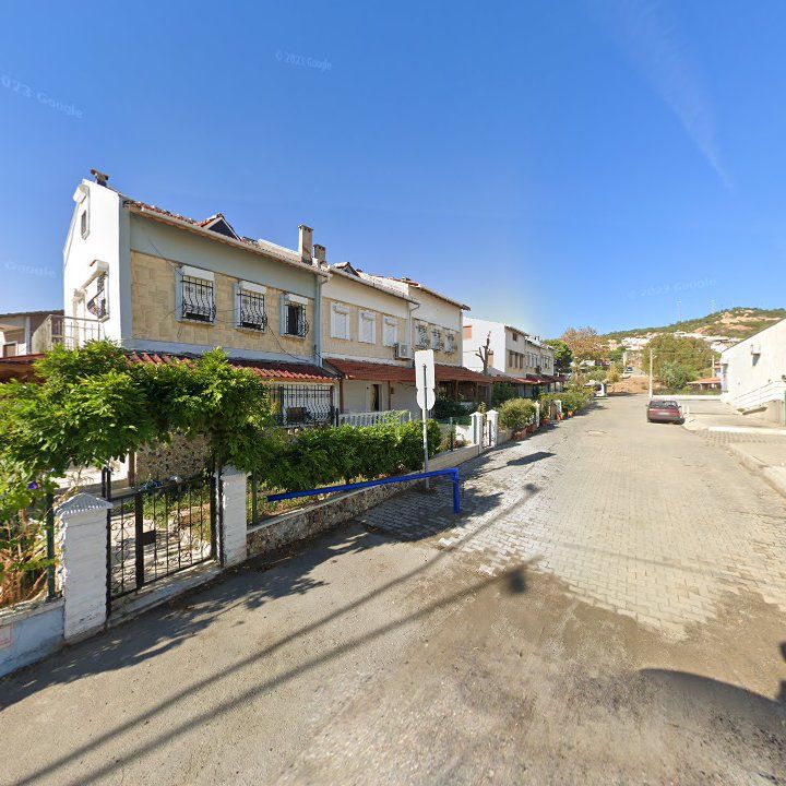 Fotoğraf 8