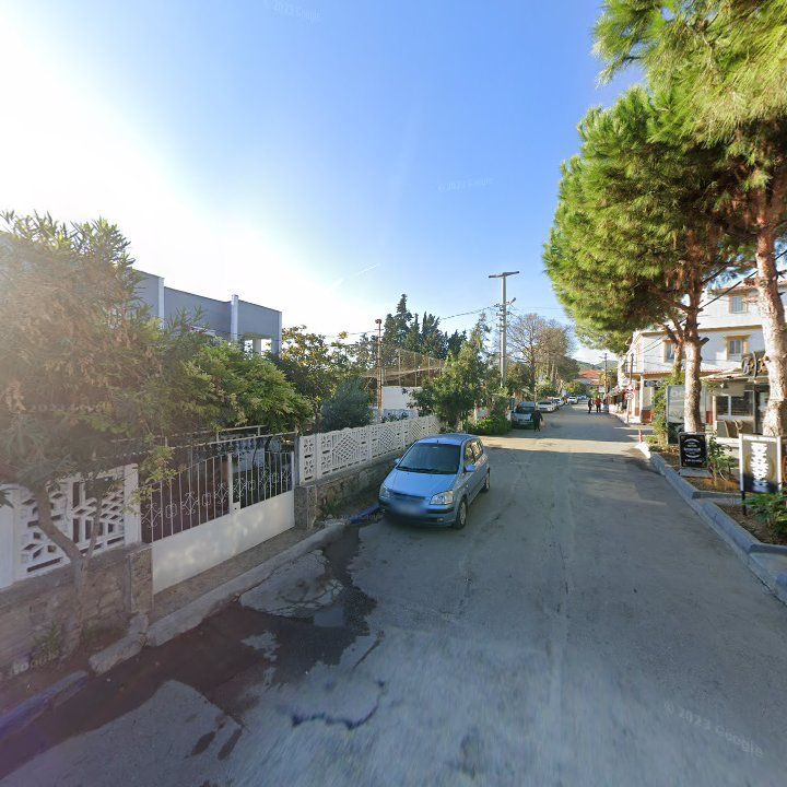 Fotoğraf 11