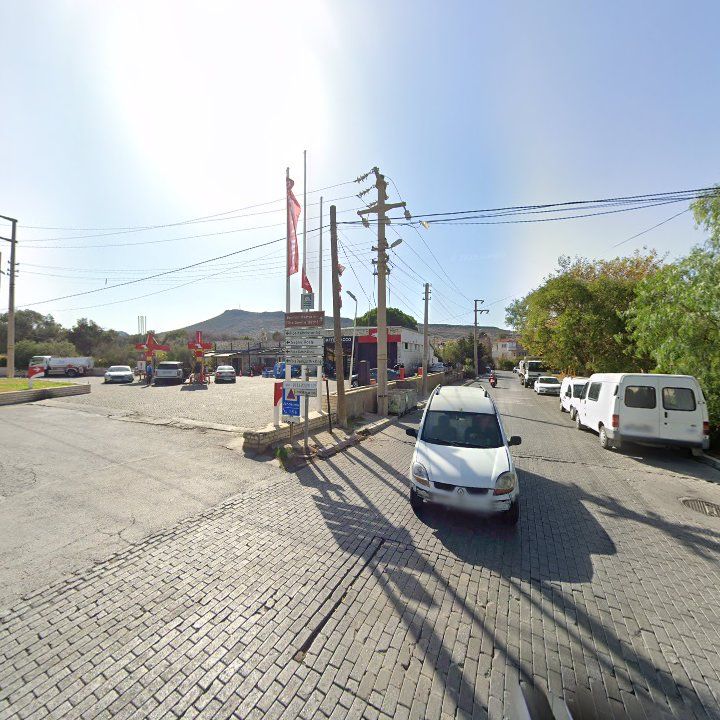 Fotoğraf 7